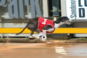 Gimme Fuel turned on the scramjets to claim a Group 1 win for trainer Kelly Bravo. 113134 Picture: SUPPLIED