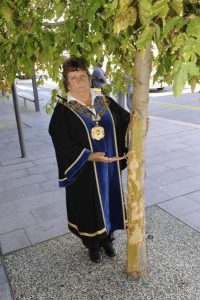 Trees set to die