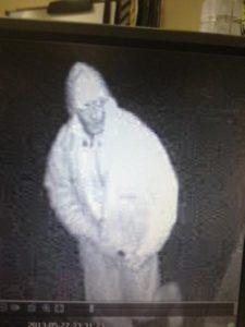 VY Commodore seen after arsonists spree