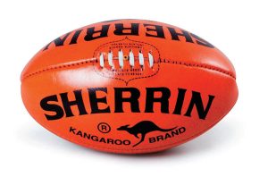SEJFL: League signs top ex-umpire Goldspink