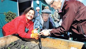 Invitation to a community garden party