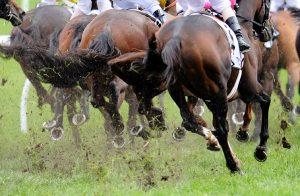 Jumper dies in race