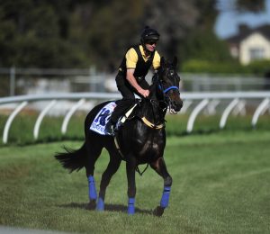 Super Saturday on Spring Racing card