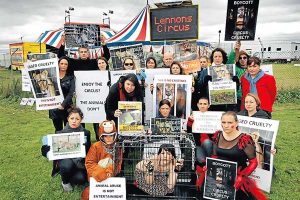 Dingley uproar over Lennon circus animals