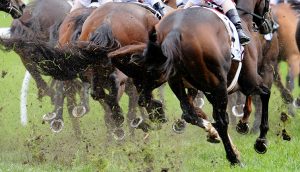 Craig Williams: No keeping a Cranbourne-born jockey down