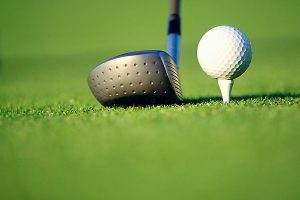 Green  wedge land bid fails