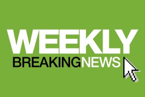 Springvale South pair to face court on charges of assault, theft