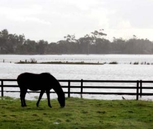 South-east floods: Lang Lang property under 85% of water