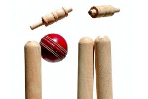 Aussie teen ICC World Cup selection