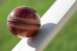Premier Cricket: Panthers in narrow win