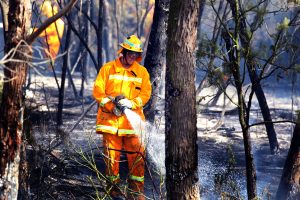 Cigarette starts Dandenong Creek blaze