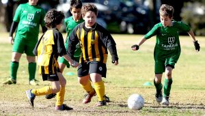 Gallery: Junior soccer-Springvale South v Bentleigh Greens