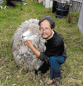 Baa the sheep: The shear weight of opinion