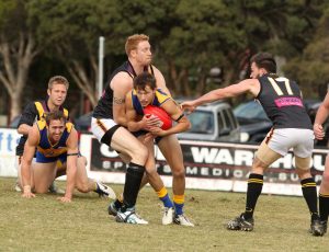 EFL: Noble Park Bulls trample Norsemen