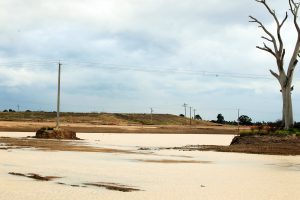 Blast over toxic 'landfill' near Dandenong Creek