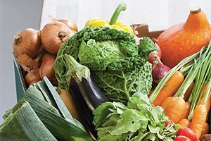 Dandenong Market manager renewed