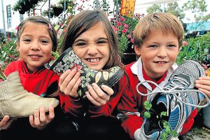 Sole-searching  green in Dandenong