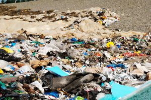 MPs urged to take stand on Lyndhurst toxic plant
