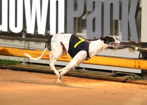 Jethro returns to form