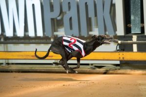 Brittons’ winning spree