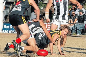 SFL: Dingley Dingoes overcome shaky start