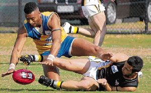 EFL: Noble Park bulldozes rumours