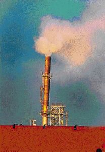 Pollution breach review urged