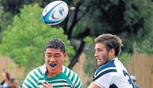 PED: Rugby union to monitor support staff more closely
