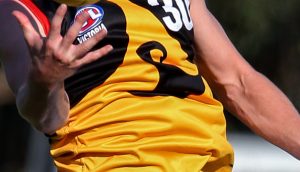 TAC Cup: Dandenong Stingrays close in on top four