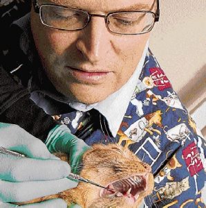Feral cat warnings after teacher bitten