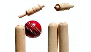 Greater Dandenong work bans throw DDCA cricket into chaos