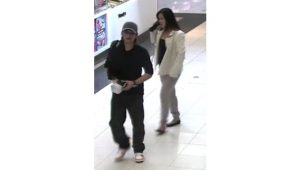 Police seek couple over credit card theft