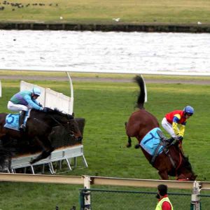 Sandown: Jumps race protester arrested