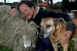 Baa battle: Vu vows to fight on