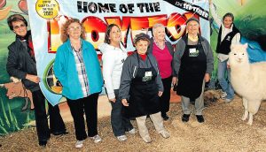 Doveton show: ‘show’ your support