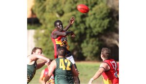 SFL: Doveton Eagles breeze past Cobras on gusty day