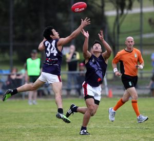 VAFA: Multicultural Dragons join amateur ranks