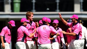 Premier Cricket: Outright victory moves Panthers to fourth spot