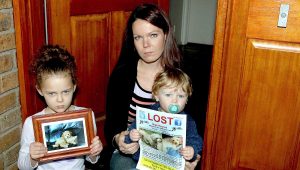 Distress over missing diabetic pooch Boofy