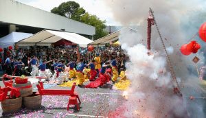 Gallery: Lunar New Year festival, Springvale