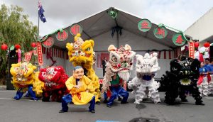 Snaky Lunar New Year strikes in Springvale