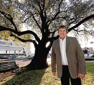 Cr warns Dandenong road works threaten old peppercorn  tree