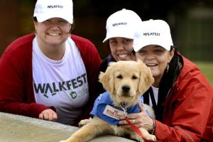 Walkers hitch a lift