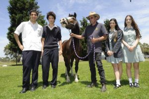 Horse help takes the biscuit
