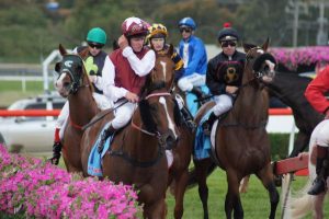 A (free) day at the races