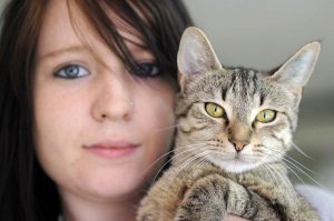 Call’s out for kitty carers