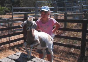 Joy on the farm