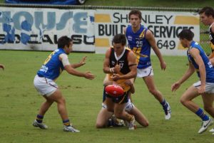 Stingrays bog down