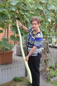 Vine time for long lunch