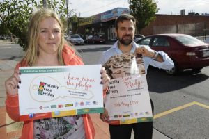 Pledge for a day without road danger